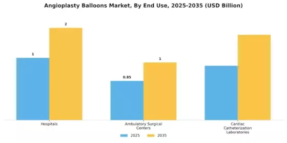 Angioplasty Balloons Market Segment Image 1
