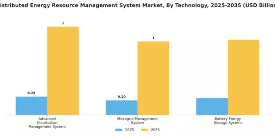 Distributed Energy Resource Management System Market Segment Image 0