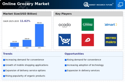 Online Grocery Market Infographic