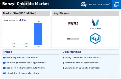 Benzyl Chloride Market Infographic