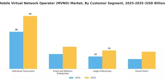 Mobile Virtual Network Operator Market Segment Image 1