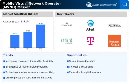 Mobile Virtual Network Operator Market Infographic