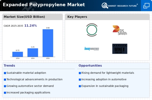 Expanded Polypropylene Market Infographic