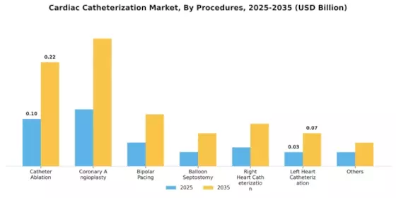 Cardiac Catheterization Market Segment Image 2