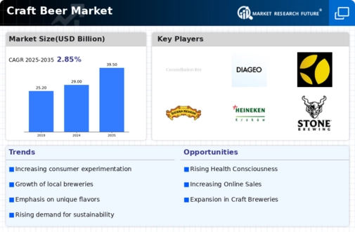 Craft Beer Market Infographic