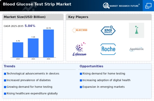Global Blood Glucose Test Strip Market Infographic