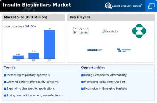 Insulin Biosimilars Market Infographic