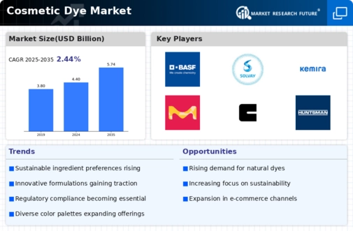 Cosmetic Dye Market Infographic