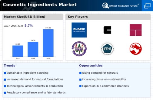 Cosmetic Ingredient Market Infographic