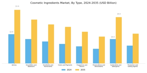 Cosmetic Ingredient Market Segment Image 0