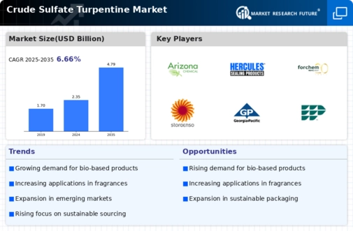 Crude Sulfate Turpentine Market Infographic