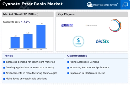 Cyanate Ester Resin Market Infographic