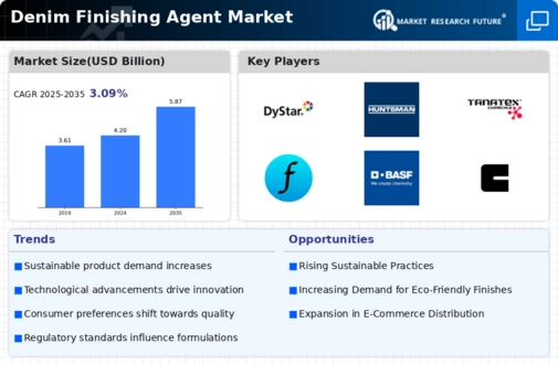 Denim Finishing Agent Market Infographic