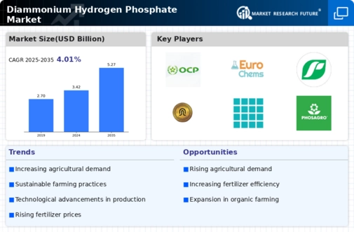 Diammonium Hydrogen Phosphate Market Infographic
