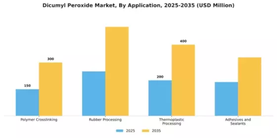 Dicumyl Peroxide Market Segment Image 0