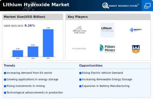 Lithium Hydroxide Market Infographic
