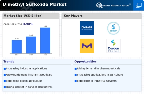 Dimethyl Sulfoxide Market Infographic