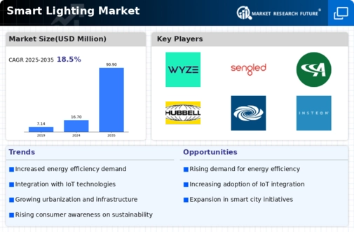 Smart Lighting Market Infographic