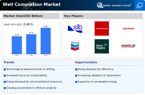Well Completion Market Infographic