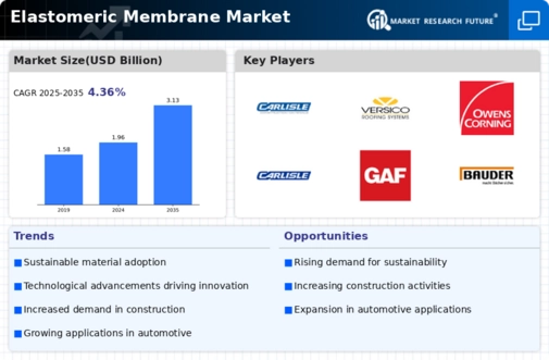 Elastomeric Membrane Market Infographic