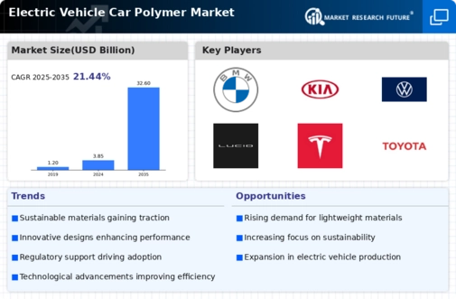 Electric Vehicle Car Polymer Market Infographic