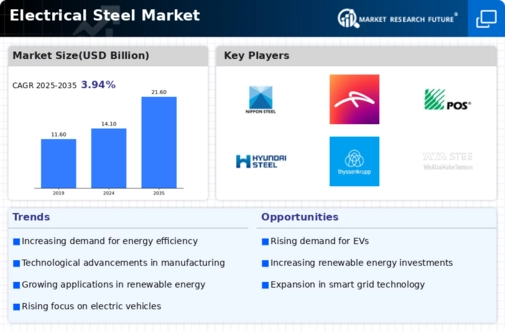 Electrical Steel Market Infographic