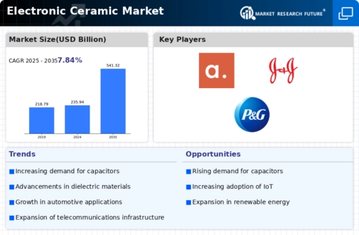 Electronic Ceramic Market Infographic
