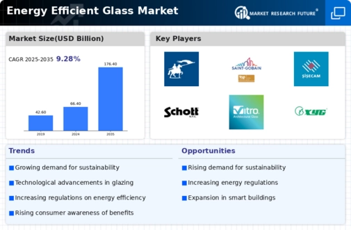 Energy Efficient Glass Market Infographic