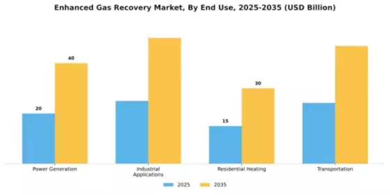 Enhanced Gas Recovery Market Segment Image 1