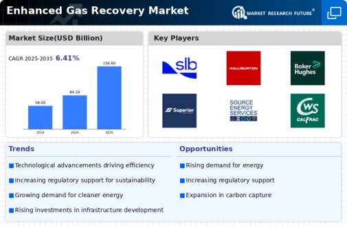Enhanced Gas Recovery Market Infographic