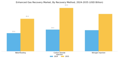 Enhanced Gas Recovery Market Segment Image 0