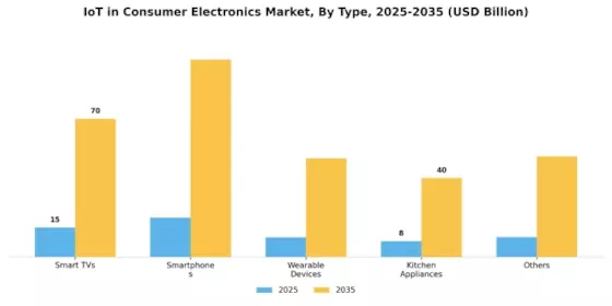 IoT Consumer Electronics Market Segment Image 0