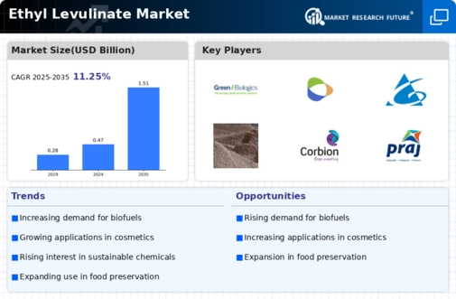 Ethyl Levulinate Market Infographic