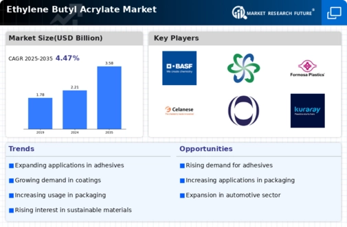 Ethylene Butyl Acrylate Market Infographic