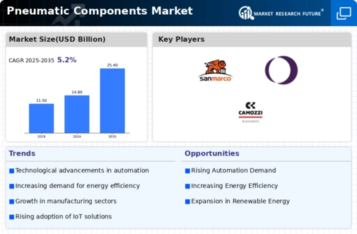 Pneumatic Components Market Infographic