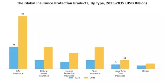 Insurance Protection Product Market Segment Image 1