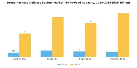 Drone Package Delivery System Market Segment Image 2