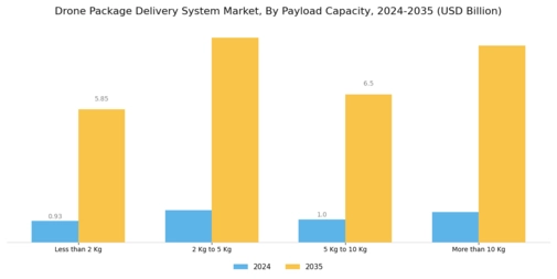 Drone Package Delivery System Market Segment Image 3