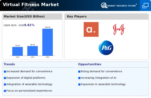 Virtual Fitness Market Infographic