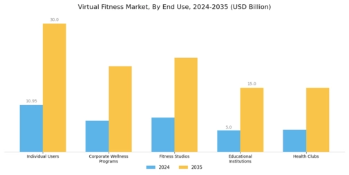 Virtual Fitness Market Segment Image 1