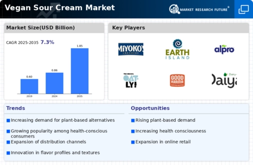 Vegan Sour Cream Market Infographic