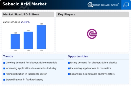 Sebacic Acid Market Infographic