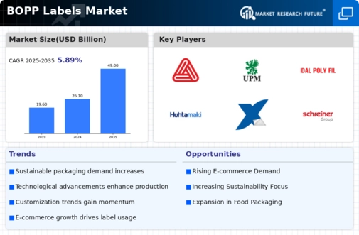 BOPP Labels Market Infographic